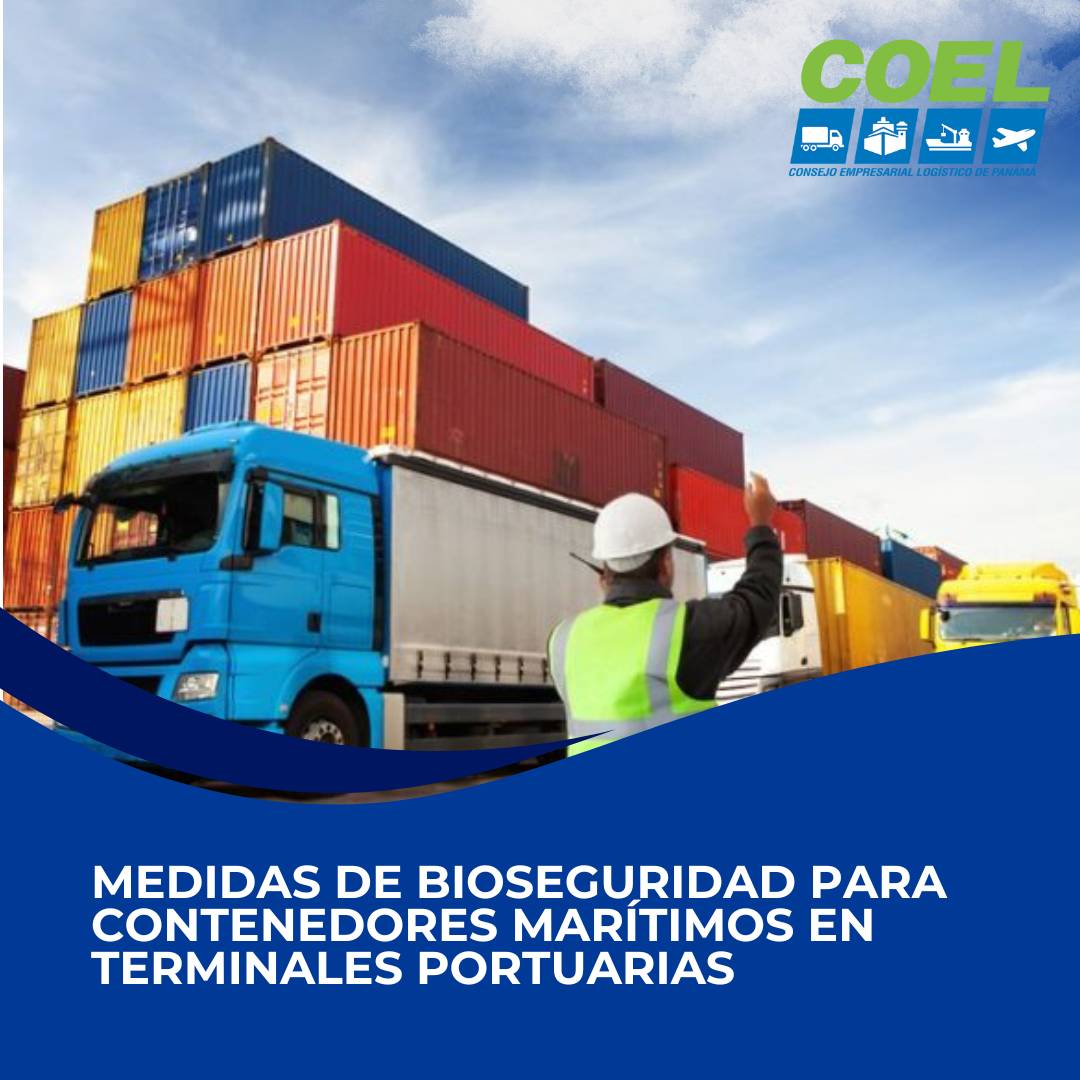 imagen-p